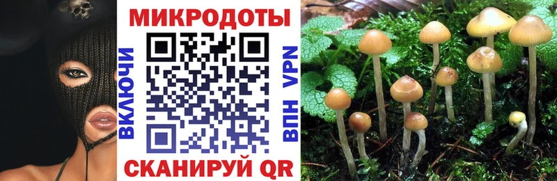 где продают   Кумертау  Галлюциногенные грибы Magic Shrooms 